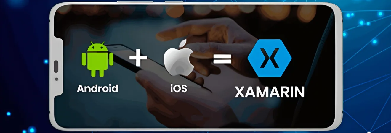 Digital Solutions Development by Pirotan