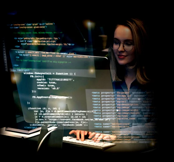 Custom Software Solutions by Pirotan