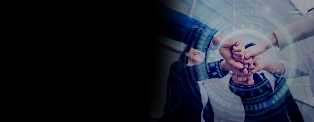 Digital Solutions Development by Pirotan