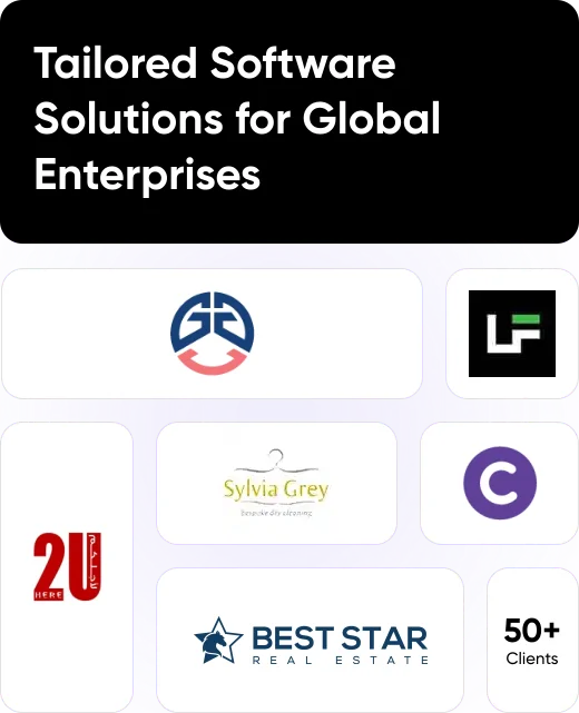 Digital Solutions Development by Pirotan