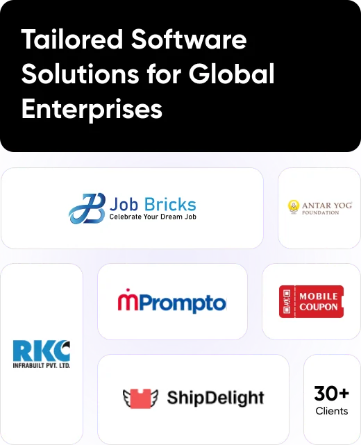 Digital Solutions Development by Pirotan